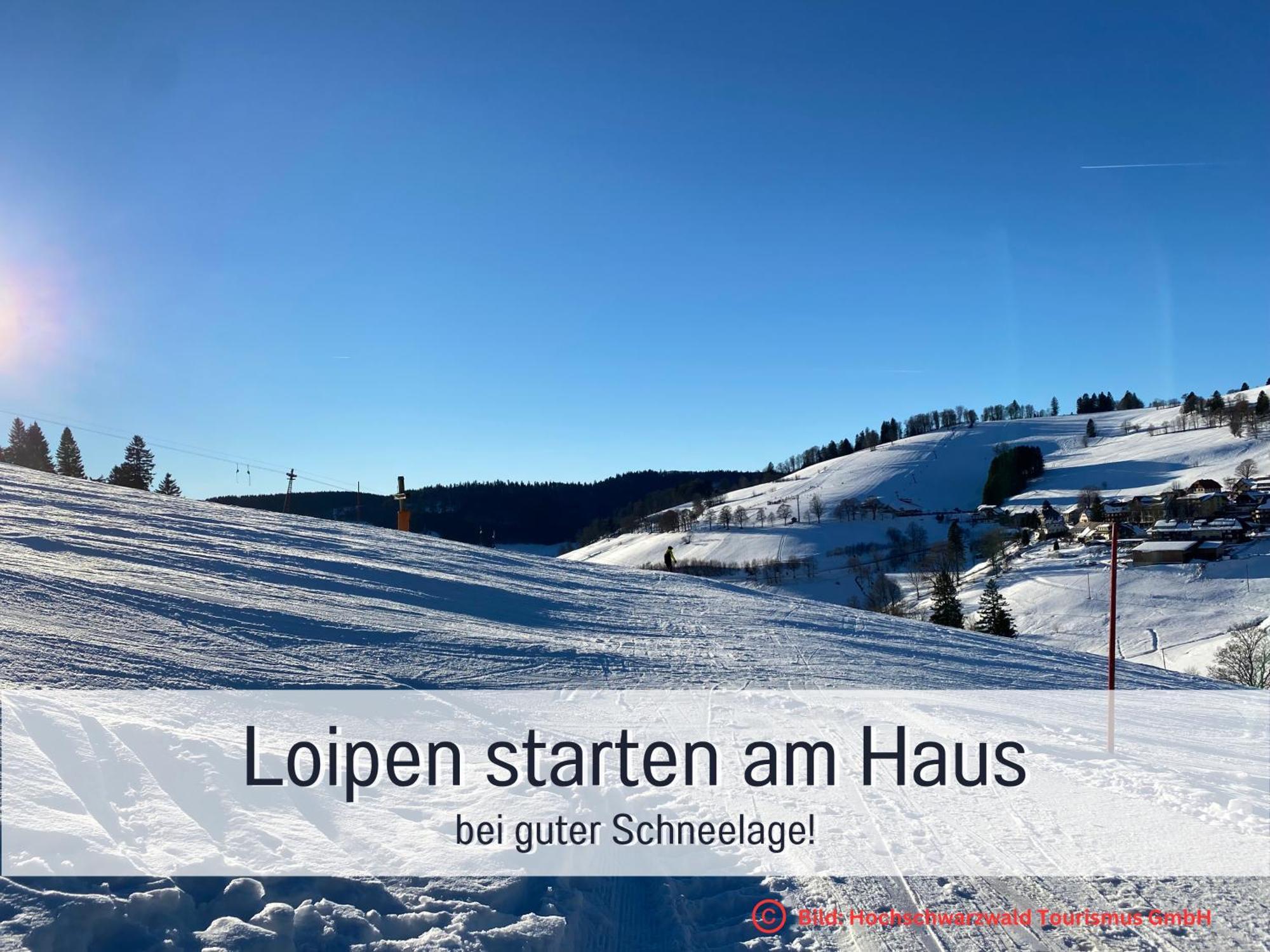 Herzgruen Direkt An Traumhaften Wanderwegen Balkon Mit Toller Aussicht Sauna Im Haus Tiefgarage E-Ladestation Todtnauberg Exteriér fotografie