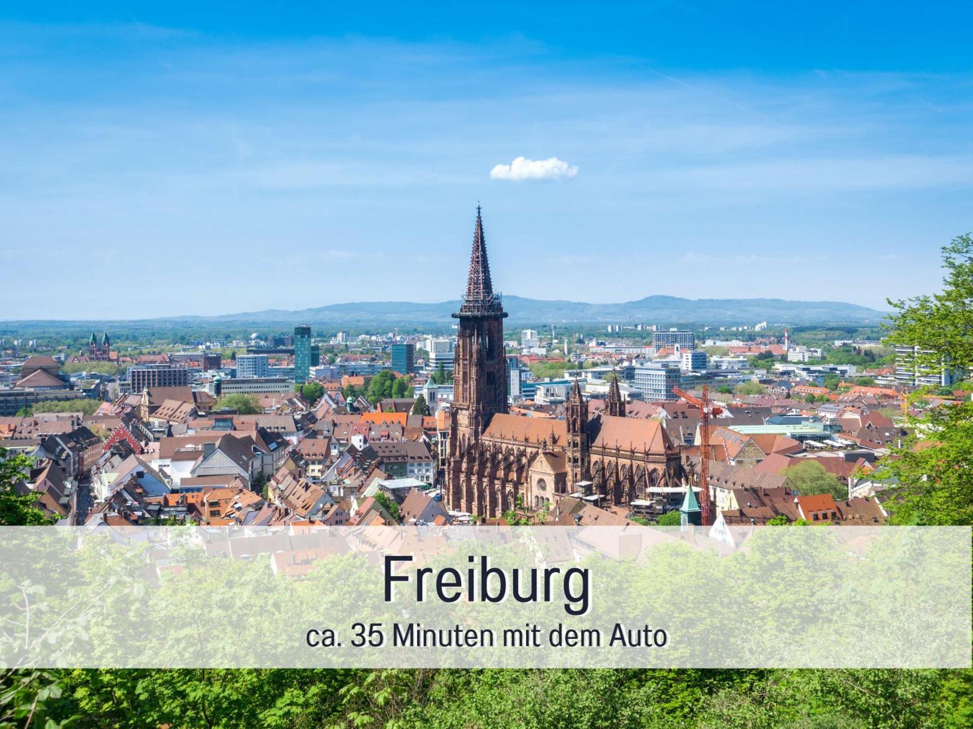 Herzgruen Direkt An Traumhaften Wanderwegen Balkon Mit Toller Aussicht Sauna Im Haus Tiefgarage E-Ladestation Todtnauberg Exteriér fotografie