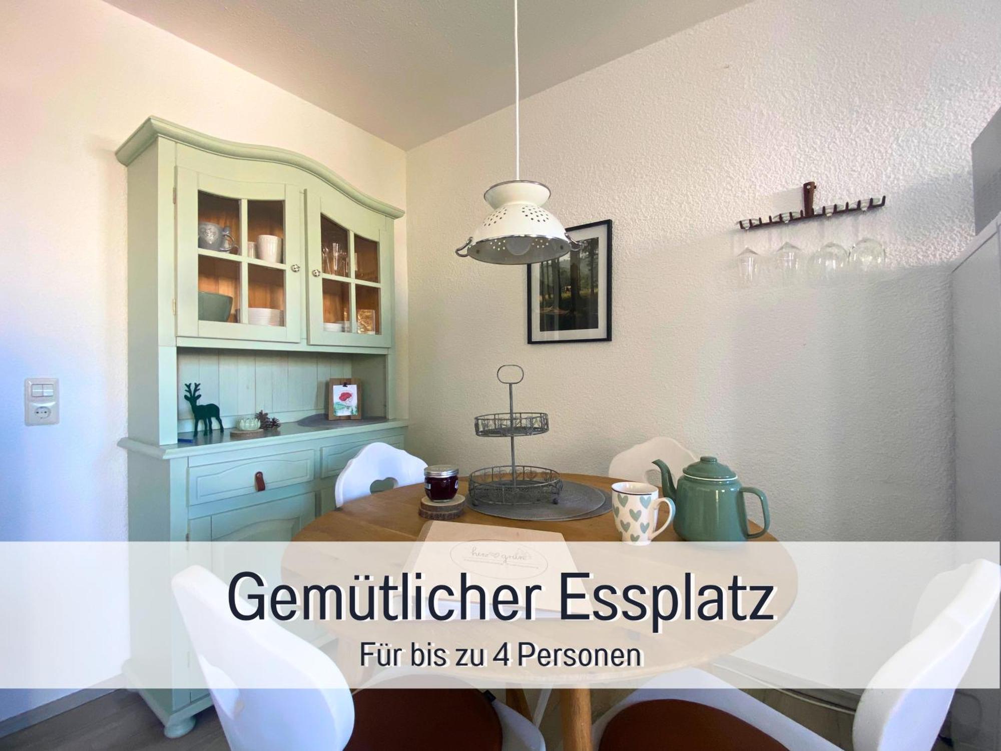 Herzgruen Direkt An Traumhaften Wanderwegen Balkon Mit Toller Aussicht Sauna Im Haus Tiefgarage E-Ladestation Todtnauberg Exteriér fotografie