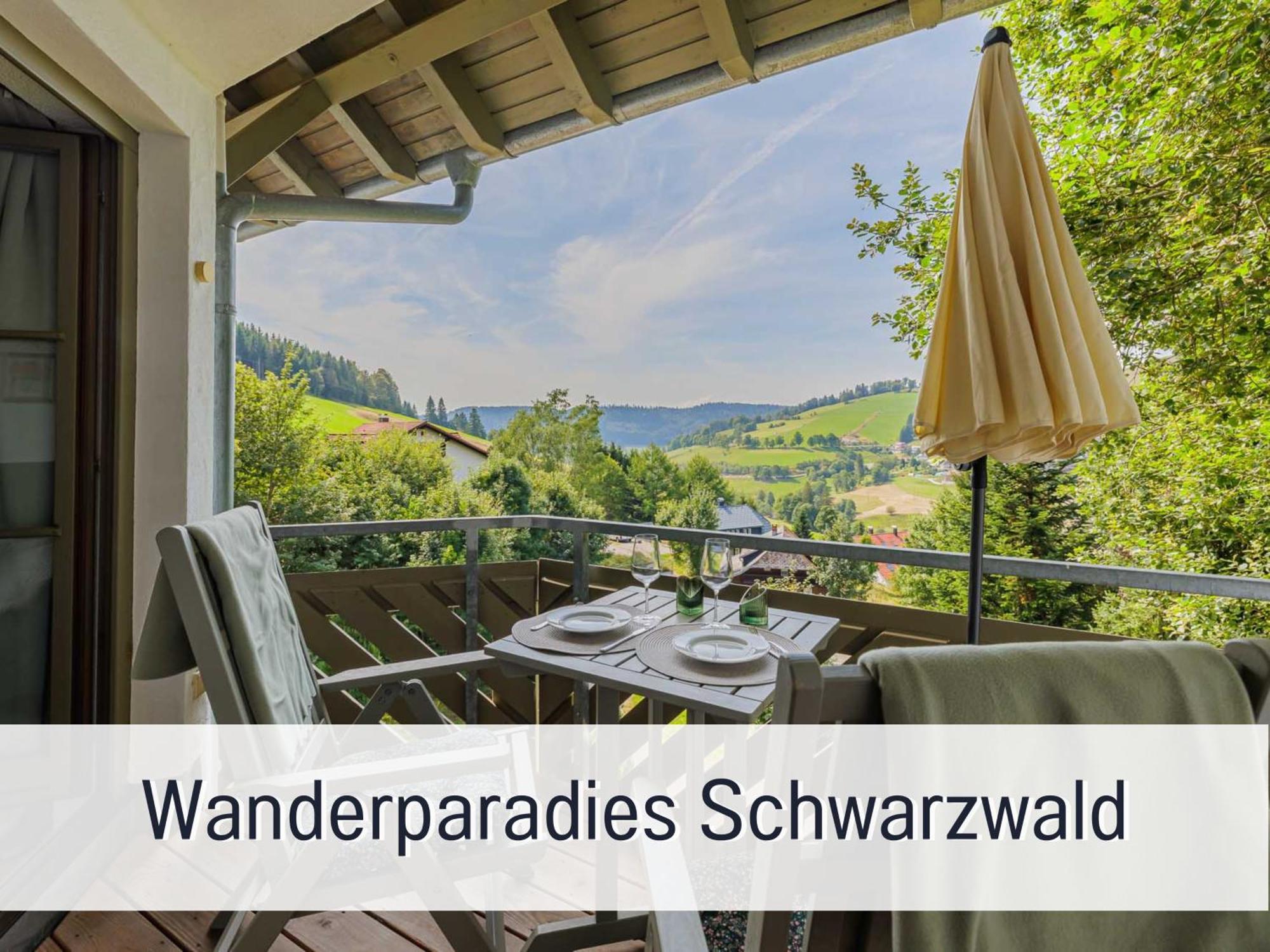 Herzgruen Direkt An Traumhaften Wanderwegen Balkon Mit Toller Aussicht Sauna Im Haus Tiefgarage E-Ladestation Todtnauberg Exteriér fotografie